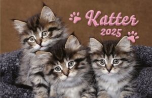 Kattkalender medium