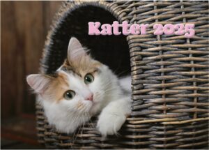 Kattkalender small