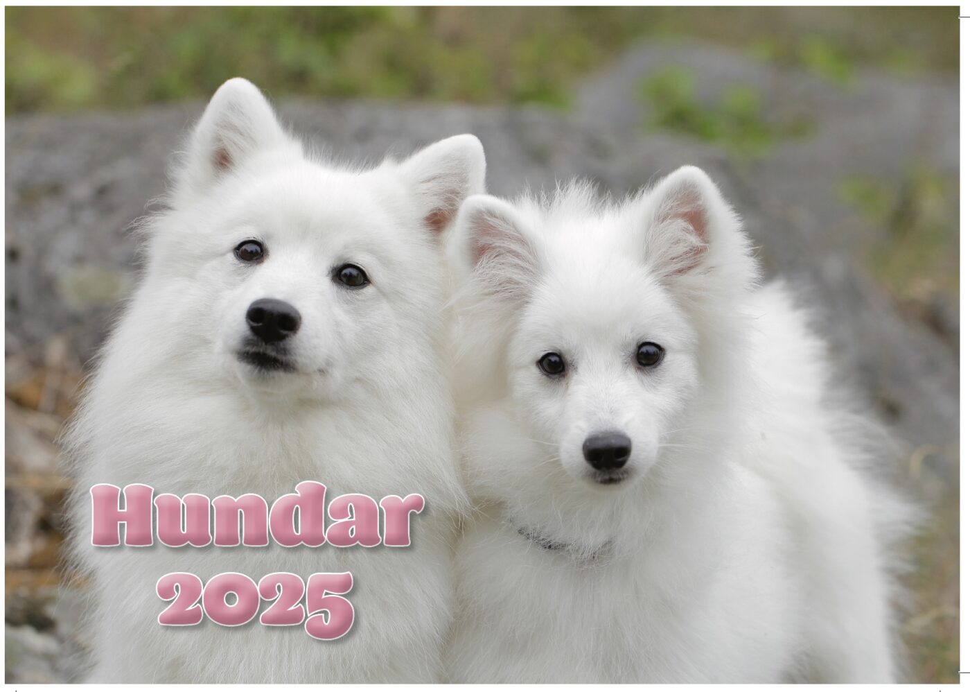 Hundkalender small